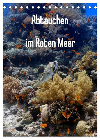 Abtauchen im Roten Meer (Tischkalender 2026 DIN A5 hoch), CALVENDO Monatskalender