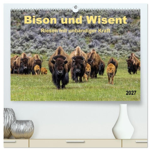 Bison und Wisent - Riesen mit unbändiger Kraft (hochwertiger Premium Wandkalender 2027 DIN A2 quer), Kunstdruck in Hochglanz