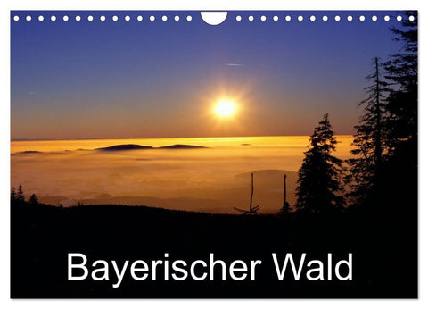Bayerischer Wald (Wandkalender 2026 DIN A4 quer), CALVENDO Monatskalender