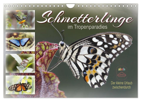 Schmetterlinge im Tropenparadies (Wandkalender 2027 DIN A4 quer), CALVENDO Monatskalender