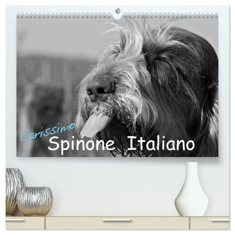 Carissimo Spinone Italiano (hochwertiger Premium Wandkalender 2027 DIN A2 quer), Kunstdruck in Hochglanz