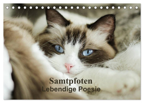 Samtpfoten Lebendige Poesie (Tischkalender 2027 DIN A5 quer), CALVENDO Monatskalender