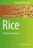 Rice