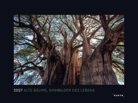 Alte Bäume, Sinnbilder des Lebens - KUNTH Wandkalender 2027