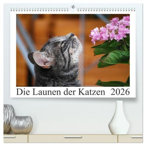 Die Launen der Katzen 2026 (hochwertiger Premium Wandkalender 2026 DIN A2 quer), Kunstdruck in Hochglanz
