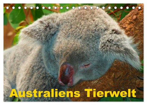 Australiens Tierwelt (Tischkalender 2026 DIN A5 quer), CALVENDO Monatskalender