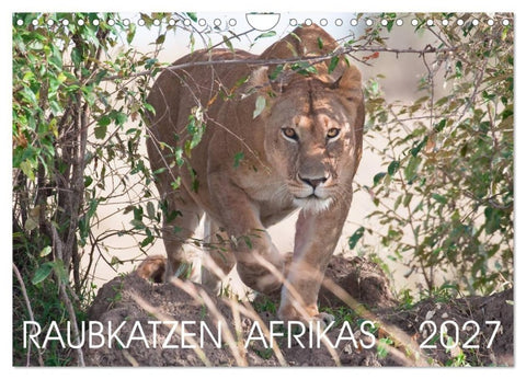 Raubkatzen Afrikas (Wandkalender 2027 DIN A4 quer), CALVENDO Monatskalender