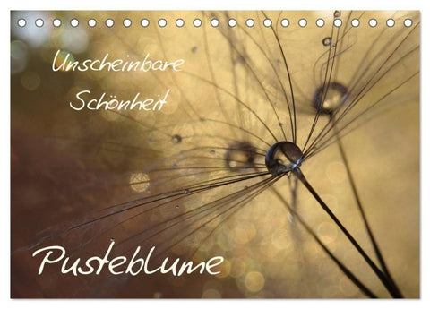 Unscheinbare Schönheit - Pusteblume (Tischkalender 2027 DIN A5 quer), CALVENDO Monatskalender
