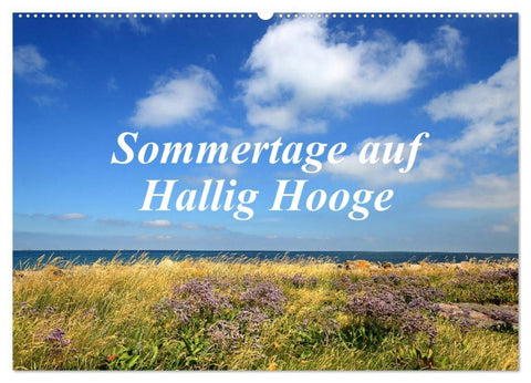 Sommertage auf Hallig Hooge (Wandkalender 2026 DIN A2 quer), CALVENDO Monatskalender