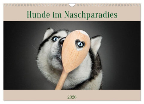 Hunde im Naschparadies (Wandkalender 2026 DIN A3 quer), CALVENDO Monatskalender