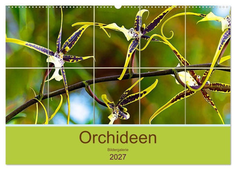 Orchideen Bildergalerie (Wandkalender 2027 DIN A2 quer), CALVENDO Monatskalender