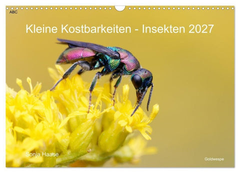 Kleine Kostbarkeiten Insekten (Wandkalender 2027 DIN A3 quer), CALVENDO Monatskalender