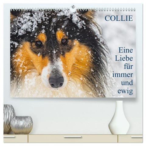 Collies - Eine Liebe für immer und ewig (hochwertiger Premium Wandkalender 2027 DIN A2 quer), Kunstdruck in Hochglanz