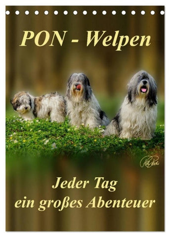 PON-Welpen - jeder Tag ein großes Abenteuer / Planer (Tischkalender 2027 DIN A5 hoch), CALVENDO Monatskalender