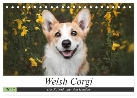 Welsh Corgi - Der Kobold unter den Hunden (Tischkalender 2027 DIN A5 quer), CALVENDO Monatskalender