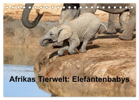 Afrikas Tierwelt: Elefantenbabys (Tischkalender 2027 DIN A5 quer), CALVENDO Monatskalender