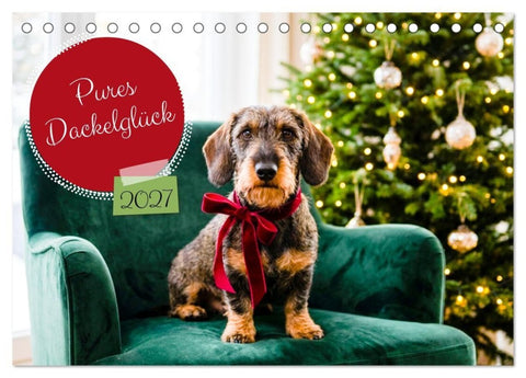 Pures Dackelglück (Tischkalender 2027 DIN A5 quer), CALVENDO Monatskalender