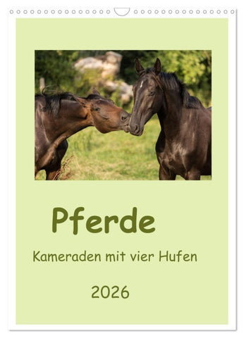 Pferde - Kameraden mit vier Hufen (Wandkalender 2026 DIN A3 hoch), CALVENDO Monatskalender