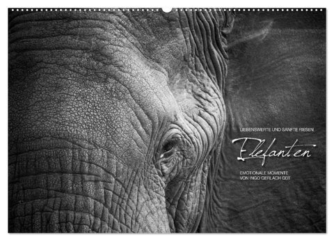 Emotionale Momente: Elefanten in black & white (Wandkalender 2026 DIN A2 quer), CALVENDO Monatskalender