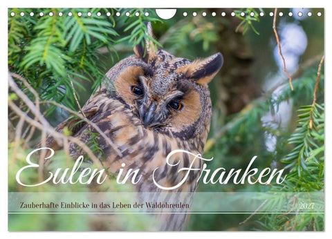 Eulen in Franken (Wandkalender 2027 DIN A4 quer), CALVENDO Monatskalender