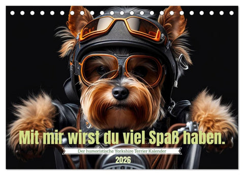Der humoristische Yorkshire Terrier Kalender (Tischkalender 2026 DIN A5 quer), CALVENDO Monatskalender