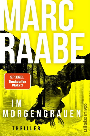 Im Morgengrauen (Art Mayer-Serie 4)