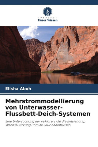 Mehrstrommodellierung von Unterwasser-Flussbett-Deich-Systemen
