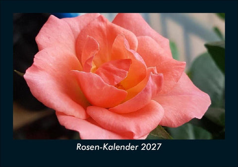 Rosen-Kalender 2027 Fotokalender DIN A5