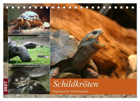 Schildkröten - Gepanzerte Urzeitwesen (Tischkalender 2027 DIN A5 quer), CALVENDO Monatskalender