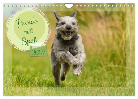 Hunde mit Spaß (Wandkalender 2027 DIN A4 quer), CALVENDO Monatskalender