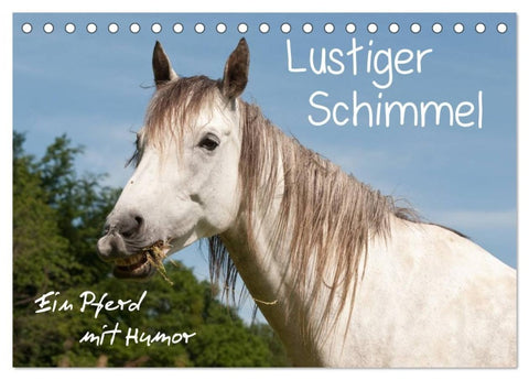 Lustiger Schimmel - ein Pferd mit Humor (Tischkalender 2027 DIN A5 quer), CALVENDO Monatskalender