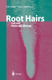 Root Hairs
