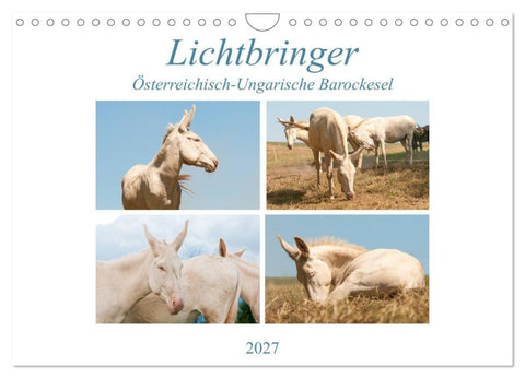 Lichtbringer - Österreichisch-Ungarische Barockesel (Wandkalender 2027 DIN A4 quer), CALVENDO Monatskalender