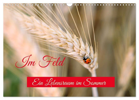 Im Feld (Wandkalender 2027 DIN A3 quer), CALVENDO Monatskalender