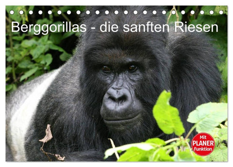 Berggorillas - die sanften Riesen (Tischkalender 2026 DIN A5 quer), CALVENDO Monatskalender