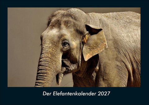 Der Elefantenkalender 2027 Fotokalender DIN A4
