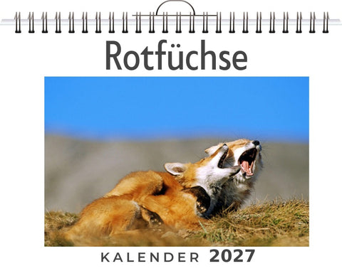Rotfüchse