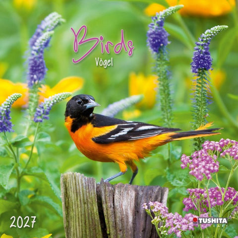 Birds 2027