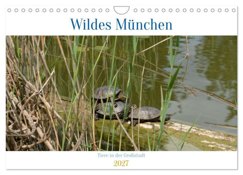 Wildes München (Wandkalender 2027 DIN A4 quer), CALVENDO Monatskalender