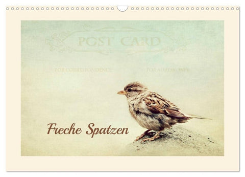 Freche Spatzen (Wandkalender 2027 DIN A3 quer), CALVENDO Monatskalender