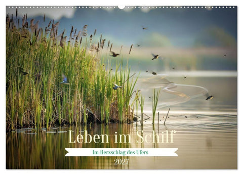Leben im Schilf (Wandkalender 2027 DIN A2 quer), CALVENDO Monatskalender
