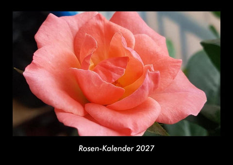 Rosen-Kalender 2027 Fotokalender DIN A3