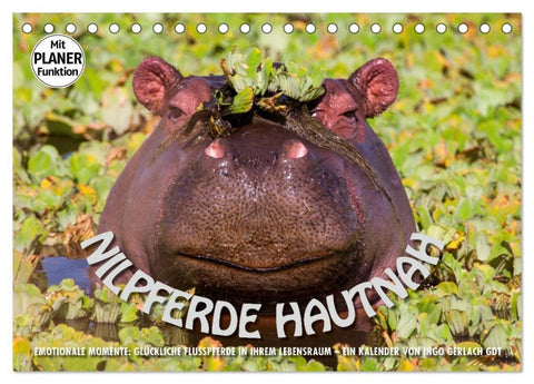 Emotionale Momente: Nilpferde hautnah (Tischkalender 2026 DIN A5 quer), CALVENDO Monatskalender