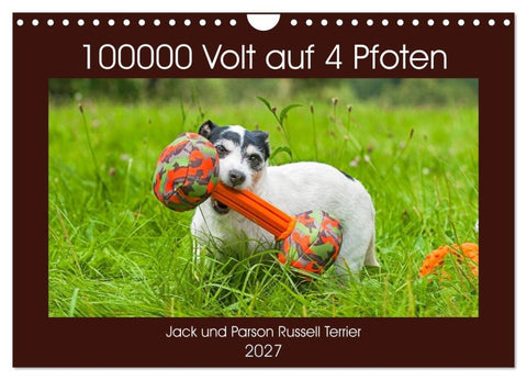 100000 Volt auf vier Pfoten - Jack und Parson Russell Terrier (Wandkalender 2027 DIN A4 quer), CALVENDO Monatskalender
