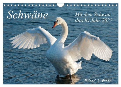 Mit dem Schwan durchs Jahr 2027 (Wandkalender 2027 DIN A4 quer), CALVENDO Monatskalender