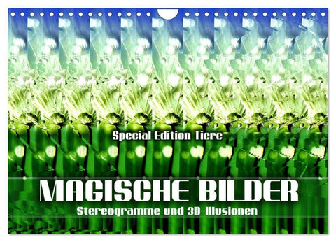 Magische Bilder - Stereogramme und 3D-Illusionen (Wandkalender 2027 DIN A4 quer), CALVENDO Monatskalender