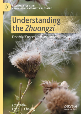 Understanding the Zhuangzi