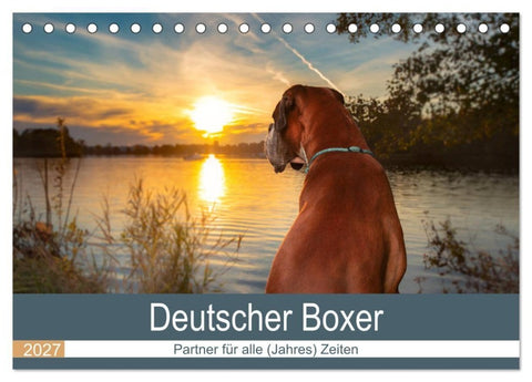 Deutscher Boxer (Tischkalender 2027 DIN A5 quer), CALVENDO Monatskalender