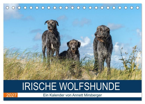 Irische Wolfshunde (Tischkalender 2027 DIN A5 quer), CALVENDO Monatskalender