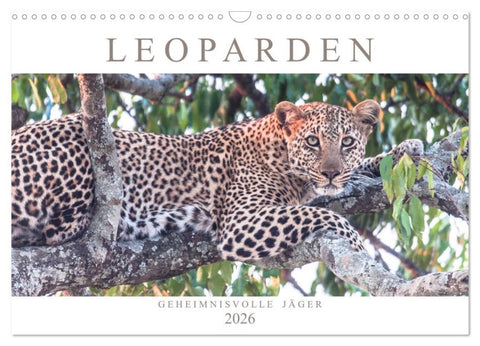 Leoparden - Geheimnisvolle Jäger (Wandkalender 2026 DIN A3 quer), CALVENDO Monatskalender